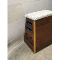 Vintage gymkast nr 67